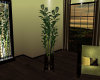 IMPRESSION TALL PLANT