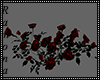 Gothic RoseBush