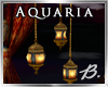 *B* Aquaria Lanterns