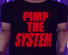  The System