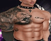 **Ster Tatoo Sexy  Lion