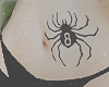 shizuku spider