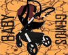 Carseat & Stroller V10