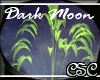{CSC} Dark Moon Planter