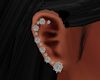Earrings+SilverDiamonds