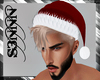 S3N - Santa Hat v8