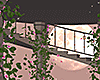 Dream Temple DRV