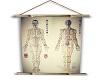 China Acupuncture Chart