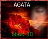 obraz 3D Agata