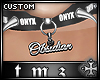 + Custom: Obsidian