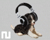 Puppy DJ + Radio