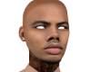 Fly Odell 13