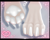 ˏˋ✧ Furry Paws