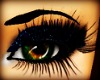 eyes lashes w/makeup 2