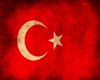 Turk Bayragı