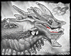 [SS] Silver Dragon AV