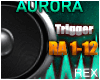 AURORA - K 391