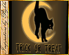 I~Trick orTreat Luna Cat