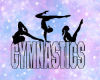 SE-Gymnastics Mat
