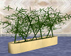 Bamboo Plant Cream