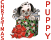 Christmas Puppy Sticker