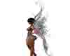 hada wings 2