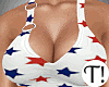 T! USA Stars Summer Set