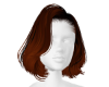 G| Brown Hair