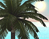 Romance Island Palm Tree