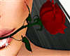 Animated Rose HD