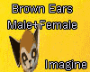 (IS)Brown Large Ears M/F