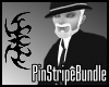 ASM pin-stripe-bundle