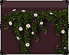 | 3D Wall Vines