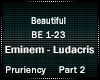 Eminem-BeautifulRemix P2
