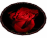 United Blood Rose Rug