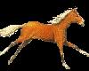 animated galloping horse