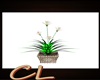 (CL) JUNGLE LOVE PLANT