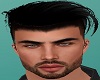 'Male Head Harley'