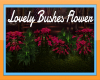 H:Lovely Bushes Flowers