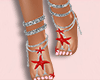 Feet Red Starfish