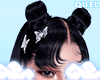 Q 🤍 Gaia Black