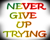 NEVER GIVE UP STICKER