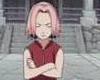 Crazy Sakura