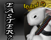 {VKY}Easter! What?
