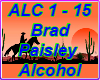Brad Paisley Alcohol