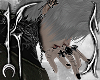 ✫