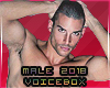 Male 2018 Voicebox