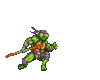 Donatello ninja turtle