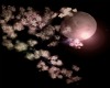 sakura.moon.flower