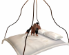 Rope Swing Cuddle Bed